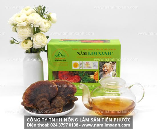 Uống nước sắc của nấm lim xanh Tiên Phước sẽ giúp hỗ trợ điều trị ung thư dạ dày và giải độc hóa trị hiệu quả