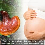 Bà bầu có uống được nấm lim xanh không lưu ý khi sử dụng nấm lim