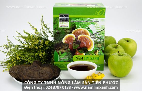 Cách chọn nấm lim xanh thật và giả của người dân Tiên Phước 