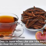 Cách dùng nấm lim trị bệnh hiệu quả và tác dụng rượu nấm lim xanh