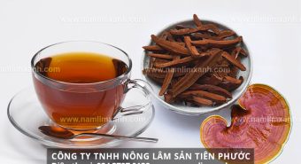 Cách dùng nấm lim trị bệnh hiệu quả và tác dụng rượu nấm lim xanh