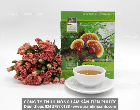 Cách dùng nấm lim xanh chữa ung thư