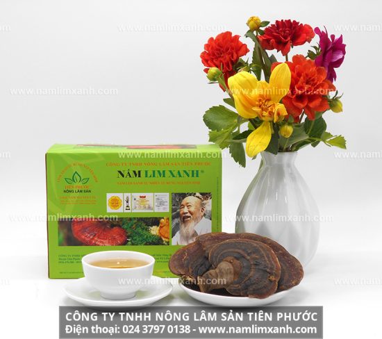 Cách hãm trà nấm lim xanh và phương pháp ngâm rượu nấm lim