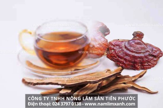 Cách nấu nấm lim xanh khô ra sao liều lượng nấu nấm lim xanh khô