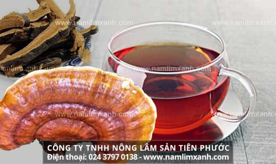 Cách nấu nước nấm lim xanh hiệu quả đối tượng nên sử dụng nấm lim xanh