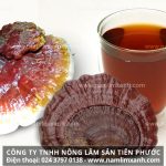 Cách nấu nước nấm lim xanh liều lượng sử dụng nấm lim xanh rừng