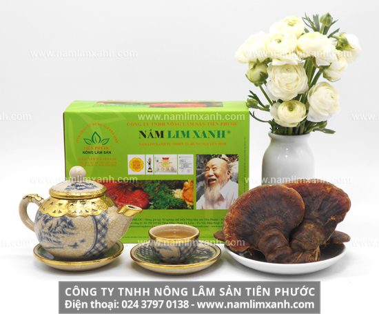 Cách ngâm rượu nấm lim rừng