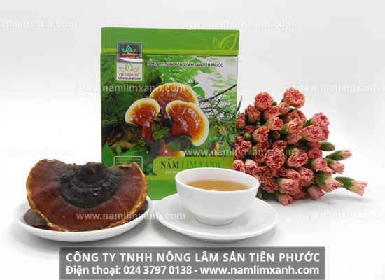 Cách nhận biết nấm lim xanh rừng tự nhiên