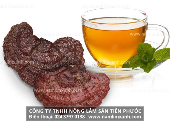 Cách sắc nấu nấm lim xanh sử dụng tại nhà