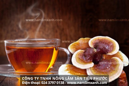 Cách sử dụng nấm lim xanh Tiên Phước sắc nước theo phương pháp cổ truyền