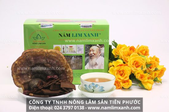 Cách sử dụng nấm lim xanh Tiên Phước và sơ chế nấm lim xanh tươi khô