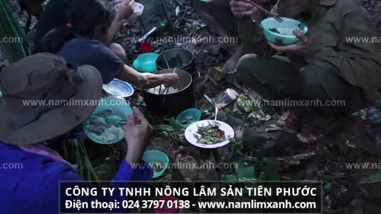 Cách sử dụng nấm lim xanh hiệu quả