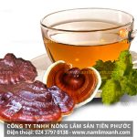 Cách sử dụng nấm lim xanh hiệu quả tăng cường sinh lý nam nữ