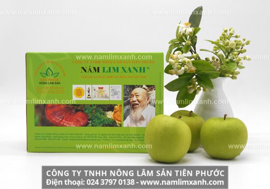 Cách sử dụng nấm lim xanh ngâm rượu từ bài thuốc dân gian