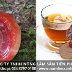 Cách sử dụng nấm lim xanh rừng sắc nấu uống, hãm trà, ngâm rượu