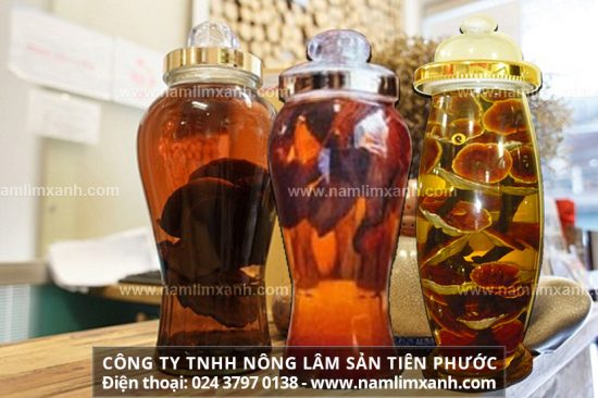 Cách sử dụng rượu nấm lim xanh tăng cường sinh lực cho nam giới