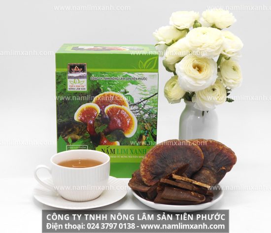 Chữa viêm gan mạn tính bằng nấm lim xanh