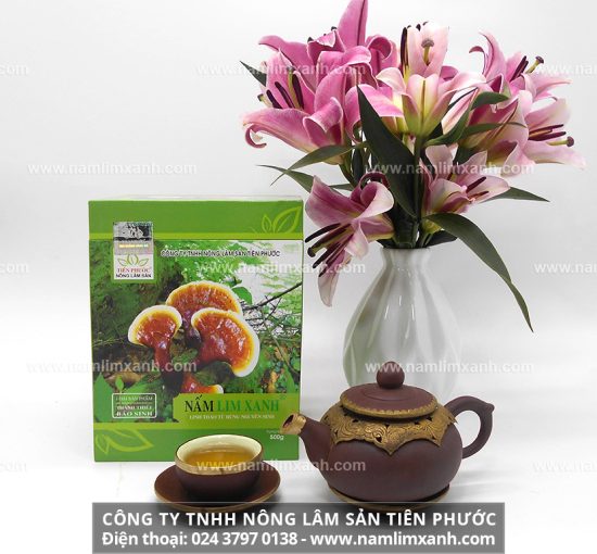 Cơ chế điều trị bệnh gan của nấm lim xanh