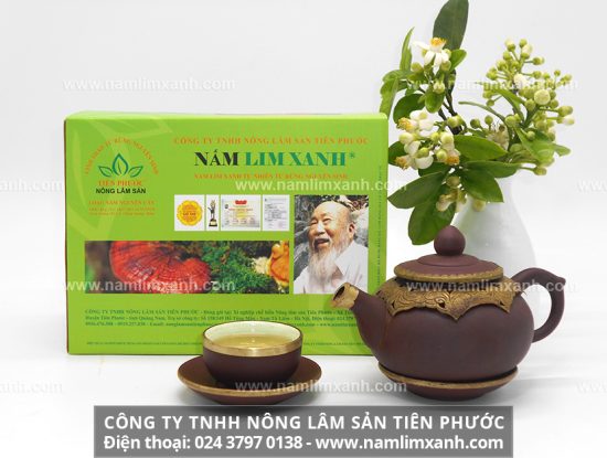 Cơ chế điều trị ung thư của nấm lim xanh