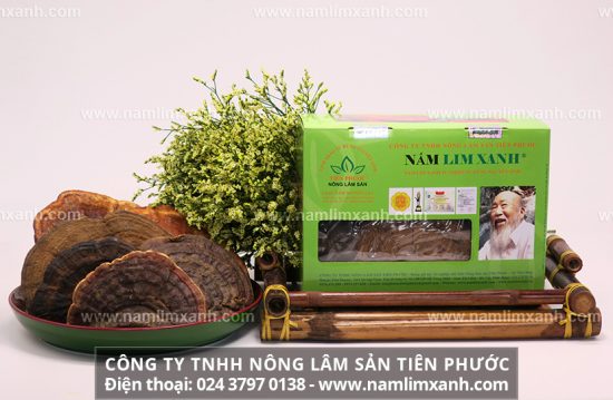 Công dụng của nấm lim xanh với bệnh ung thư