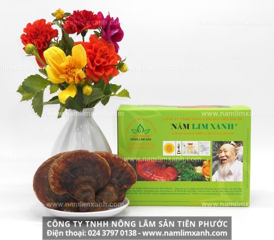 Công dụng của rượu nấm lim xanh