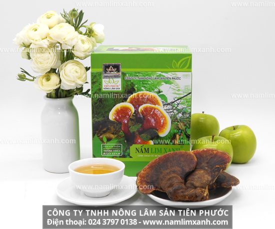 Công dụng nấm lim xanh Đà Nẵng với sức khỏe con người