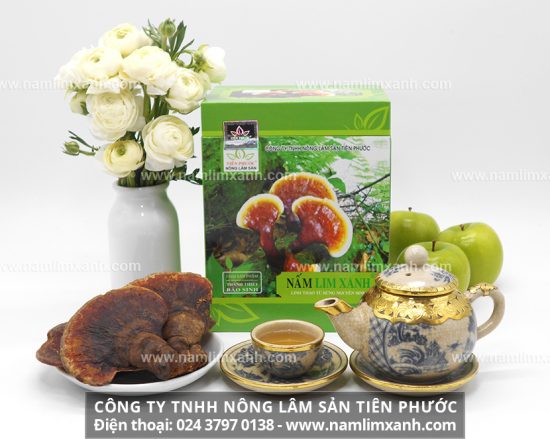 Địa chỉ bán nấm lim xanh rừng chuẩn