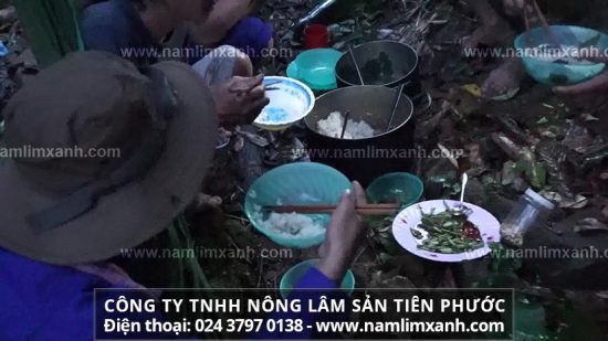 Địa chỉ nơi mua bán nấm lim xanh rừng tự nhiên tại TP.HCM