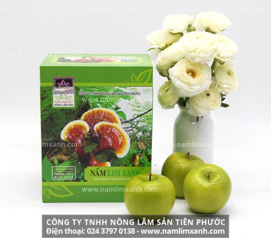 Dược chất trong nấm lim xanh giúp chống lại bệnh ung thư