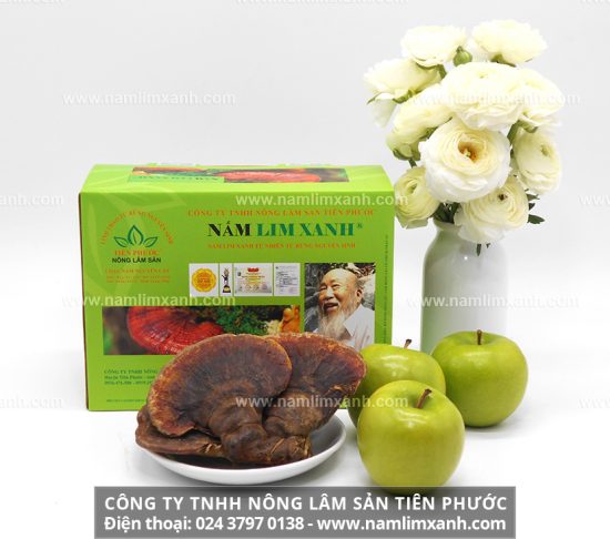 Giá 1kg nấm lim xanh tự nhiên Tiên Phước loại Nguyên cây