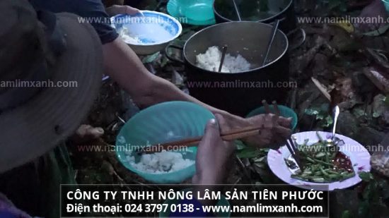 Giá bán nấm lim xanh Tiên Phước bao nhiêu tiền 1kg