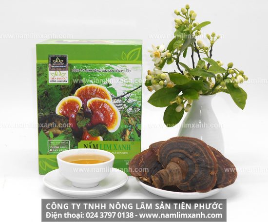 Giá bán nấm lim xanh chính hãng trên thị trường Hà Nội hiện nay