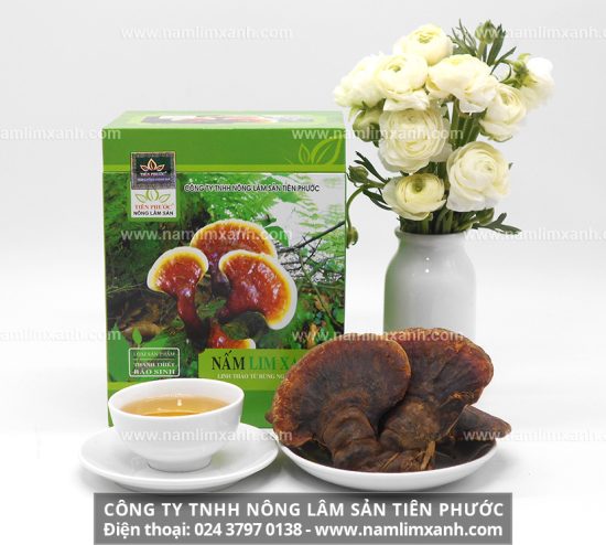 Giá nấm lim xanh Quảng Nam chuẩn bao nhiêu