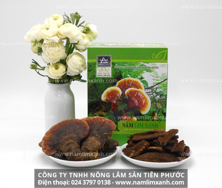 Giá nấm lim xanh bao nhiêu 1kg nơi mua nấm lim rừng thật ở đâu