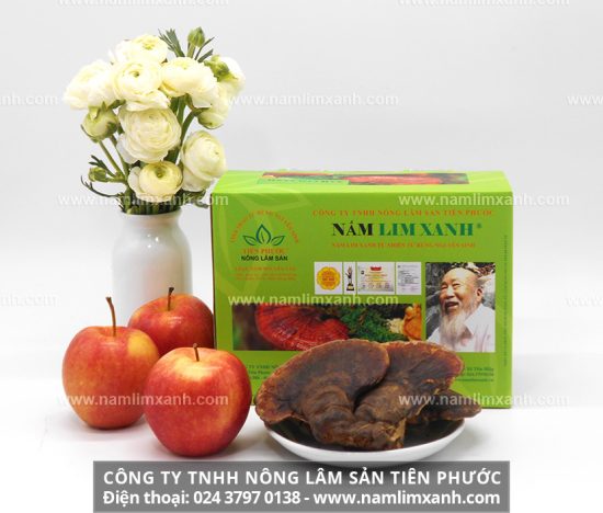 Hướng dẫn cách ngâm rượu nấm lim xanh rừng