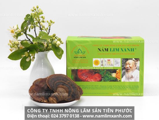 Hướng dẫn ngâm rượu nấm lim xanh