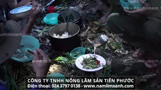 Lưu ý gì khi sử dụng nấm lim xanh để đạt hiệu quả tốt nhất