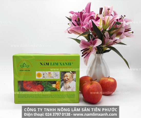 Nấm gỗ lim chữa tiểu đường và cách dùng hiệu quả