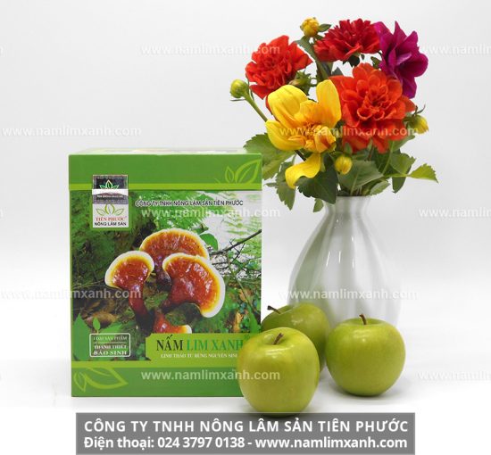 Nấm lim xanh Lào có tác dụng chữa và phòng ngừa các bệnh