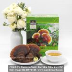 Nấm lim xanh Quảng Ninh bao nhiêu tiền 1kg với địa chỉ bán nấm lim