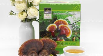 Nấm lim xanh Quảng Ninh bao nhiêu tiền 1kg với địa chỉ bán nấm lim