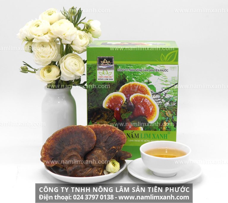 Nấm lim xanh Quảng Ninh bao nhiêu tiền 1kg với địa chỉ bán nấm lim