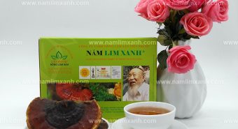 Nấm lim xanh Thanh Hóa là nấm gì và giá nấm lim xứ Thanh bao tiền