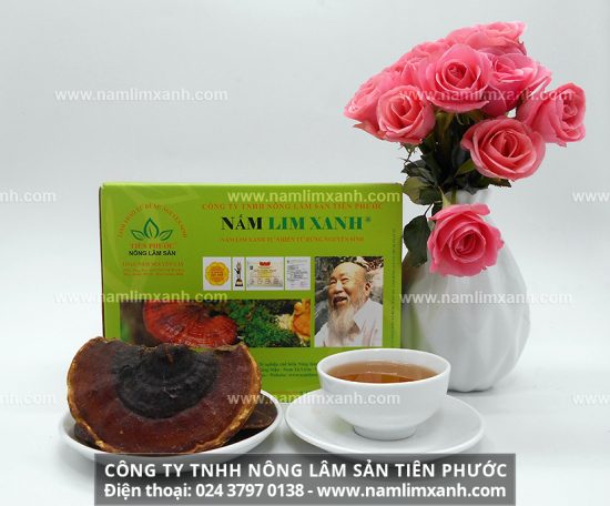 Nấm lim xanh Thanh Hóa là nấm gì và giá nấm lim xứ Thanh bao tiền