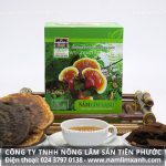 Nấm lim xanh Tiên Phước Quảng Nam giá bán nấm lim Tiên Phước