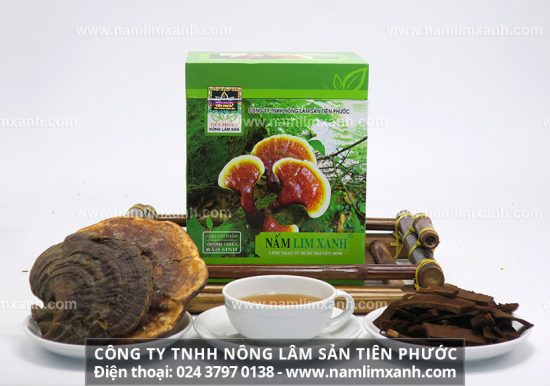 Nấm lim xanh Tiên Phước Quảng Nam giá bán nấm lim Tiên Phước