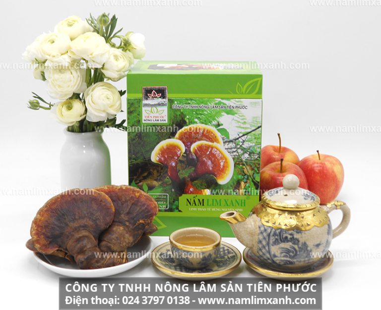 Nấm lim xanh bao nhiêu một kg địa chỉ bán nấm lim xanh ở Hà Nội