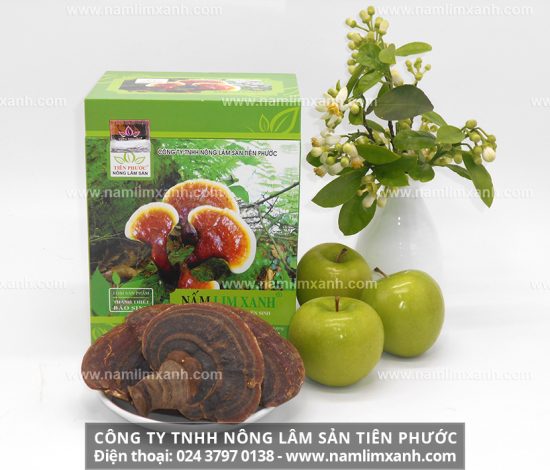 Nấm lim xanh bị mọt có dùng được không nguyên nhân nấm lim xanh bị mọt