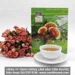 Nấm lim xanh chữa bệnh gan sự thật nấm lim xanh có tác dụng gì?