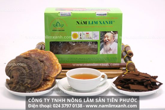 Nấm lim xanh chữa u não thế nào